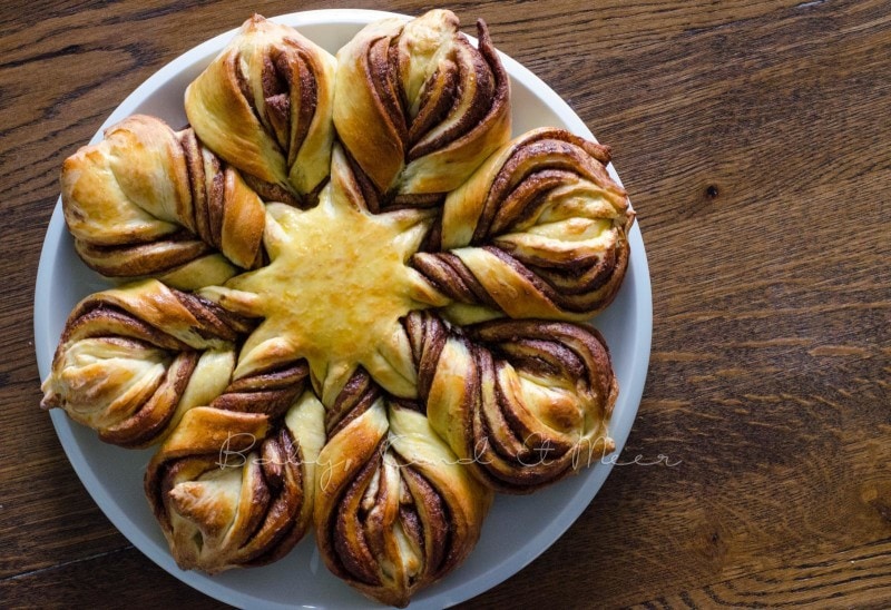 Nutellastern (8)