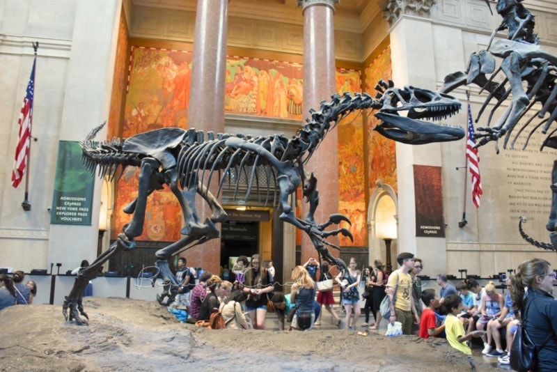 American Museum of Natural History (2)
