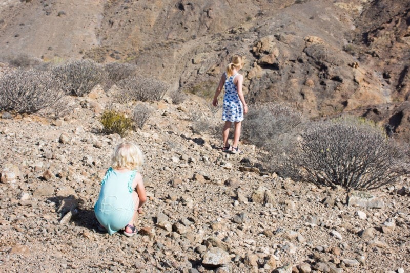 ausflug-natur-gran-canaria-7
