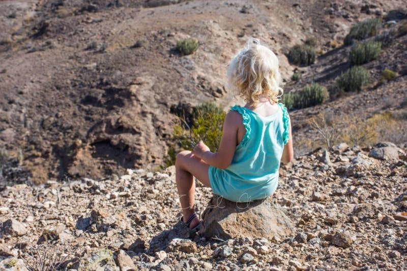 ausflug-natur-gran-canaria-8