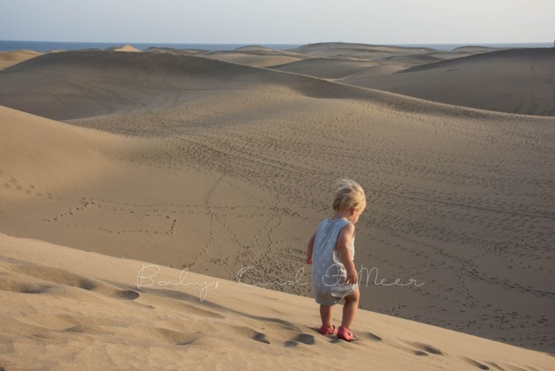 duenen-von-maspalomas-13