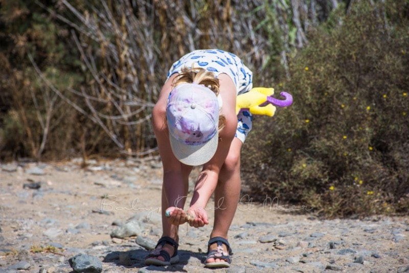 maspalomas-duenen-grand-canaria