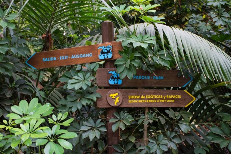 palmitos-park-gran-canaria-10