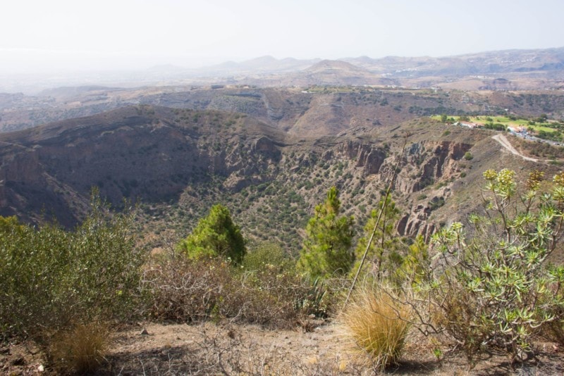 palmitos-park-gran-canaria-24