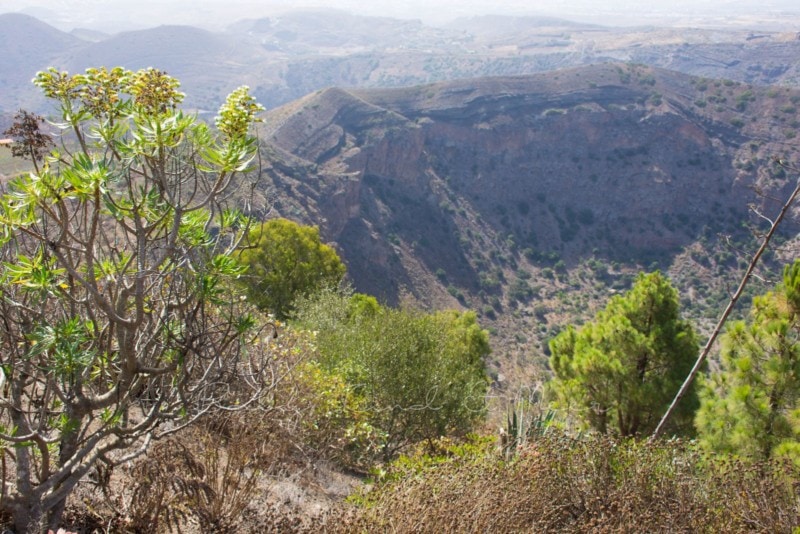palmitos-park-gran-canaria-25