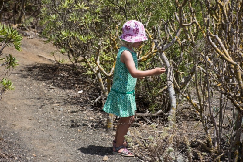 palmitos-park-gran-canaria-38