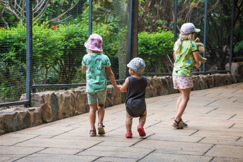 palmitos-park-gran-canaria-7