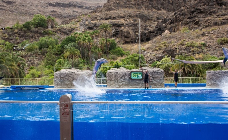 palmitos-park-gran-canaria-8