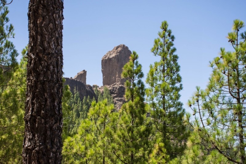 roque-nublo-gran-canaria-7