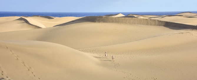 Duenen von Maspalomas (25)