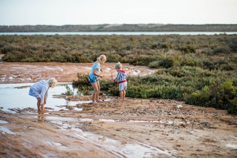 Naturschutzgebiet Ria Formosa 1