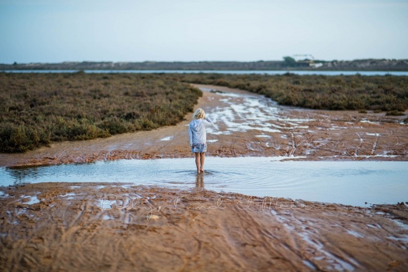 Naturschutzgebiet Ria Formosa 13
