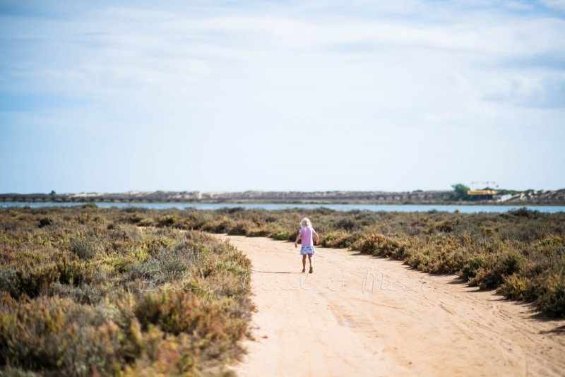 Naturschutzgebiet Ria Formosa 4