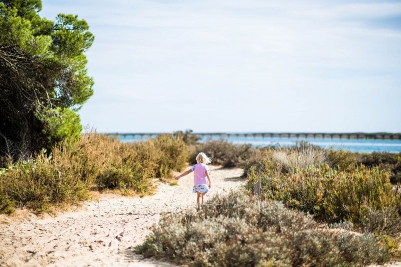 Naturschutzgebiet Ria Formosa 5