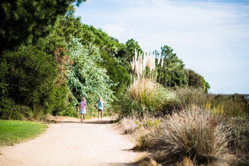 Naturschutzgebiet Ria Formosa 6
