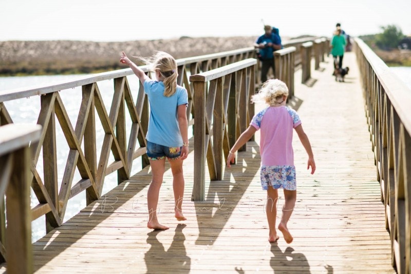 Naturschutzgebiet Ria Formosa 7