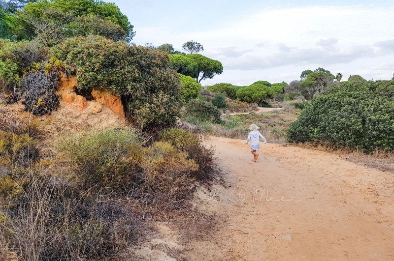 Naturschutzgebiet Ria Formosa